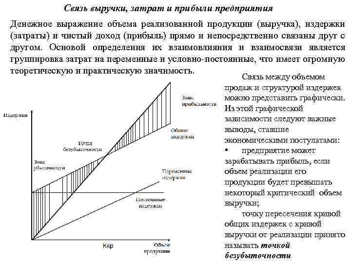 Некоторые виды проектов например социальные не предполагают получение прибыли и выручки