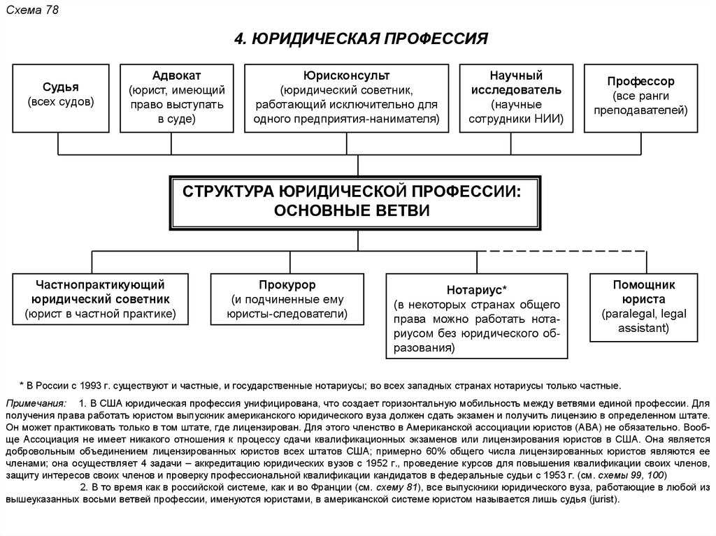 Юриспруденция направления. Юридические профессии схема. Виды юридических профессий. Структура юридической профессии. Профессия юрист схема.