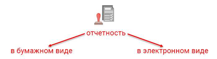 Электронная отчетность в 2022 году: фсс, пфр, ндс