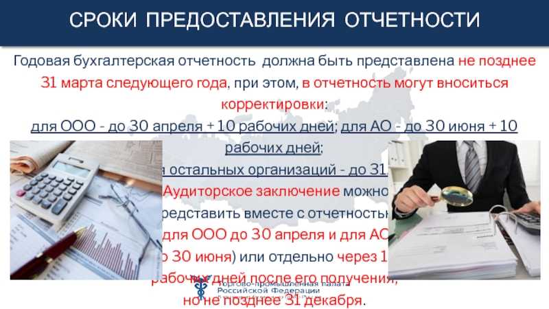 Сроки отчетности в 2024 году