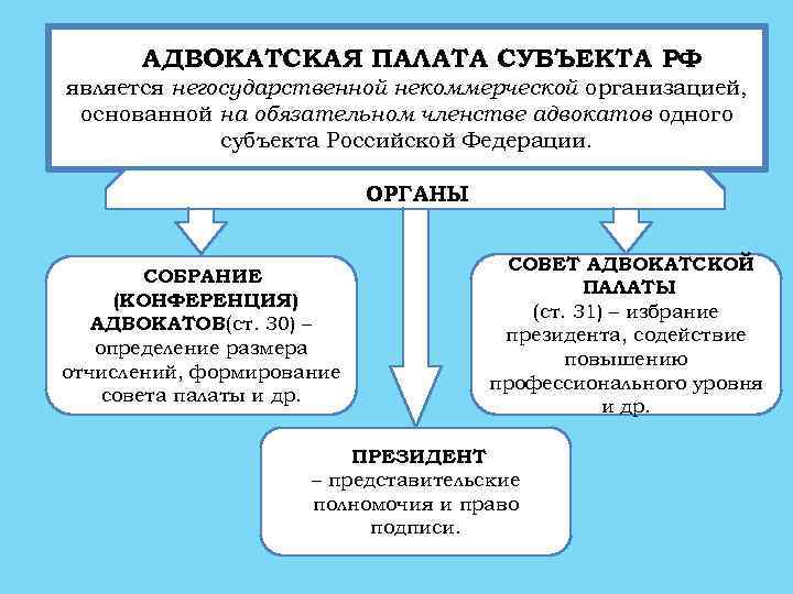 Структура коллегии адвокатов схема