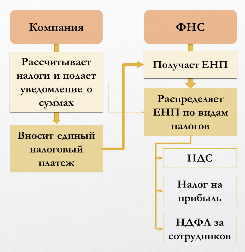 Енп. Виды налогов. Единый налоговый платеж.